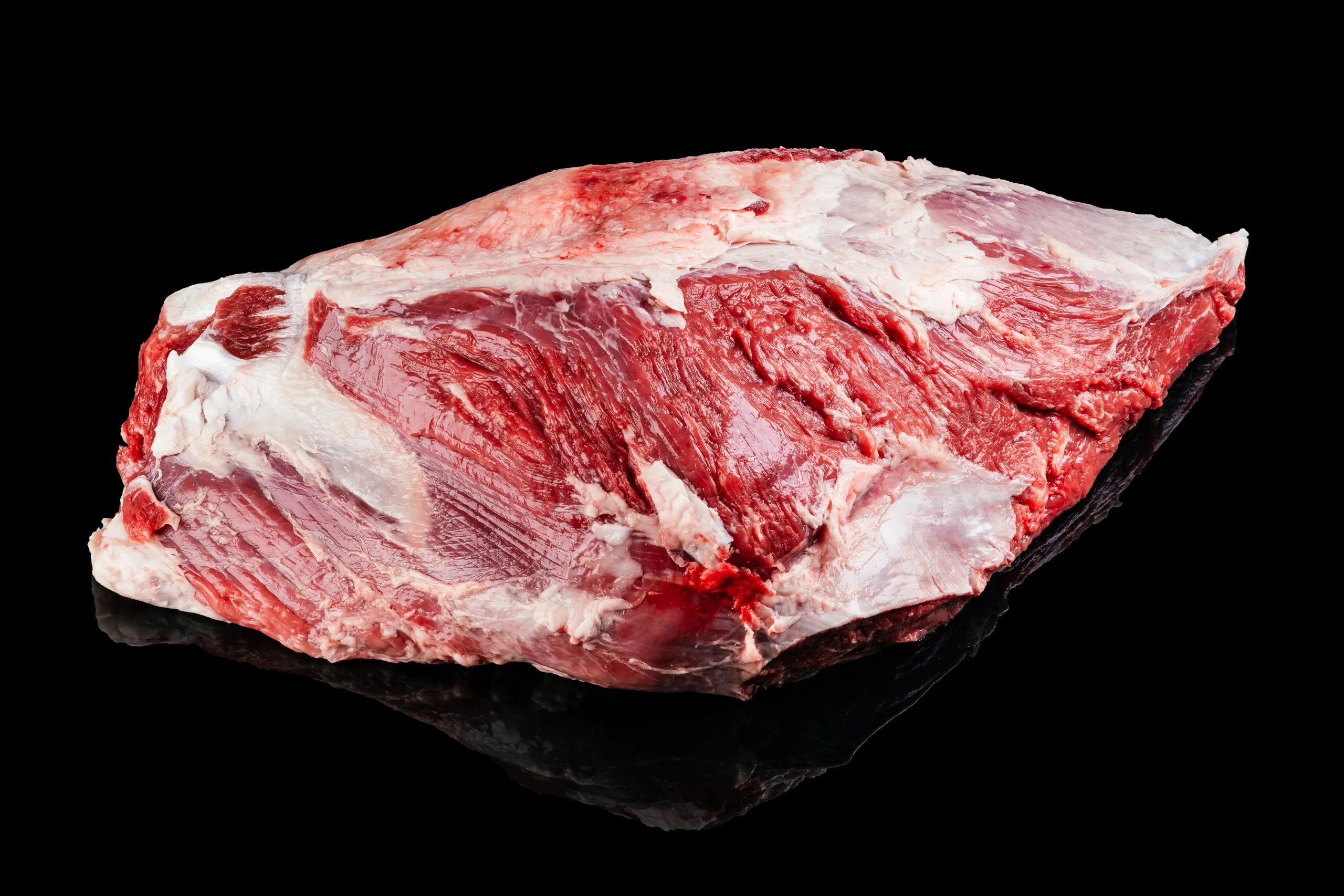 Clod (Задняя часть лопатки)